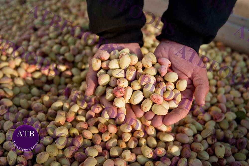 Iranian Pistachio Export | Arya Tejarat Bostan